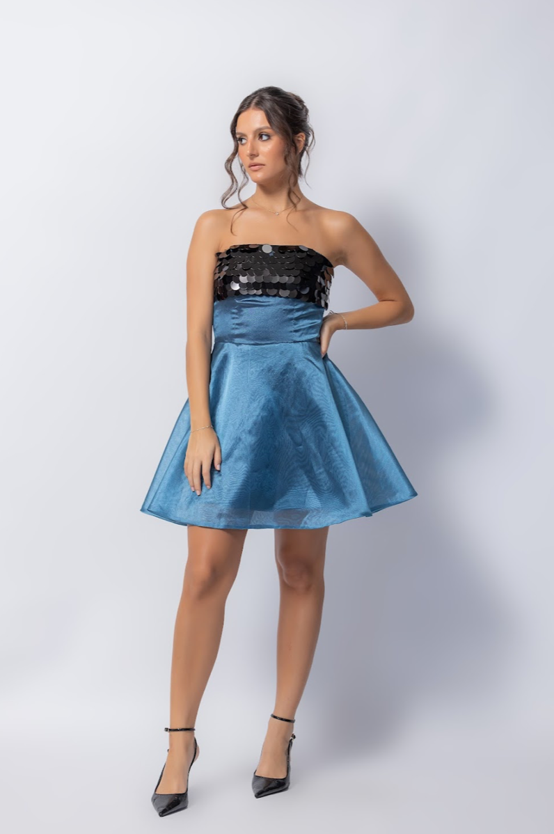 NIZAO ORGANZA DRESS