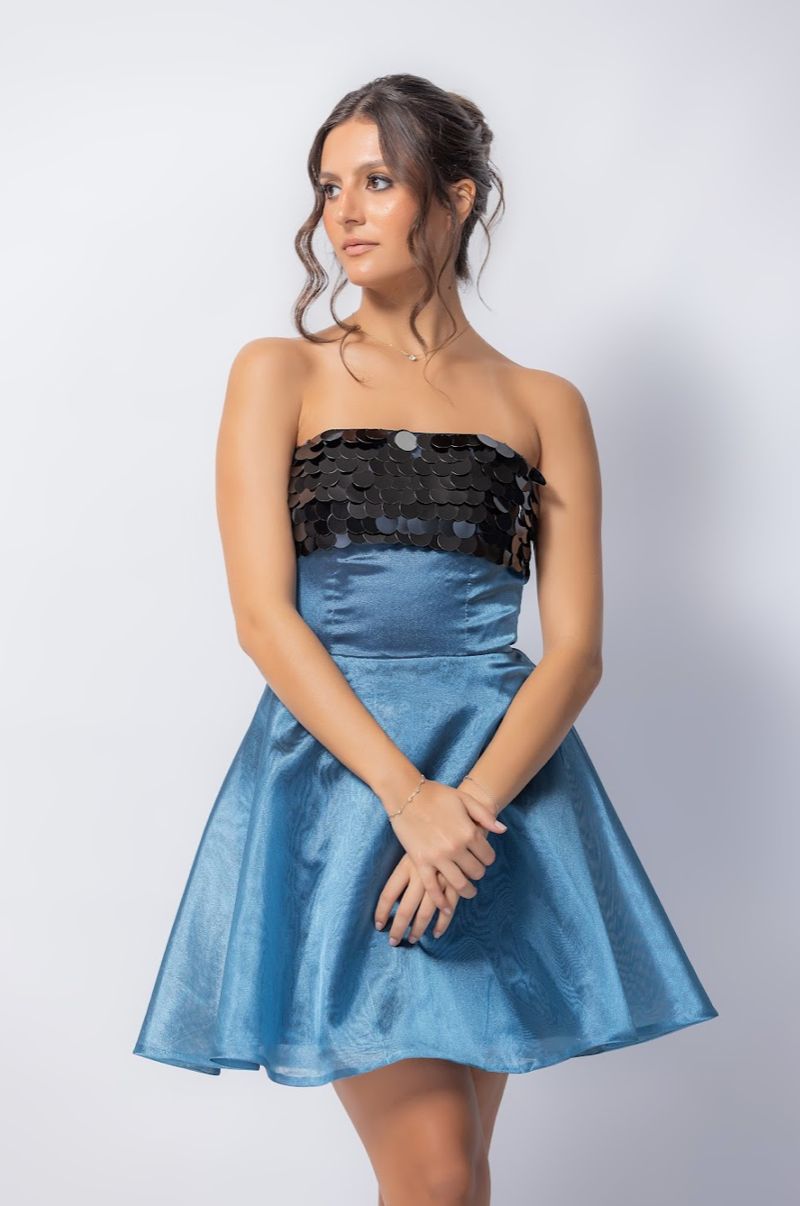 NIZAO ORGANZA DRESS