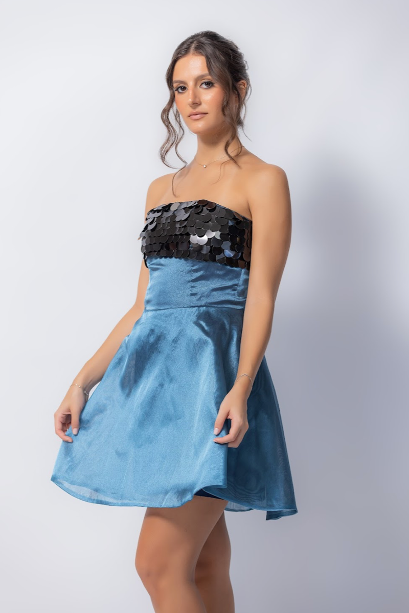 NIZAO ORGANZA DRESS