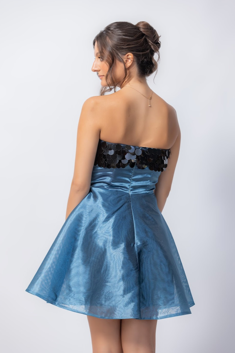 NIZAO ORGANZA DRESS